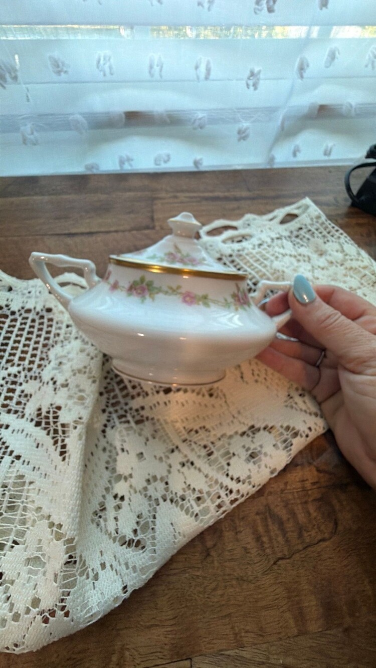 #79 vintage Lamberton China commercial ware sugar bowl by the Scammell China Com
